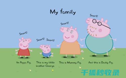 如何选择合适的电视屏幕清洁剂：成分与效果详解 (如何选择合适的避孕套大小尺寸)