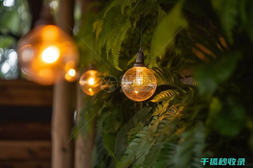 植物叶片光亮的秘密武器：叶绿素与反射光的巧妙结合 (植物叶片光亮剂)