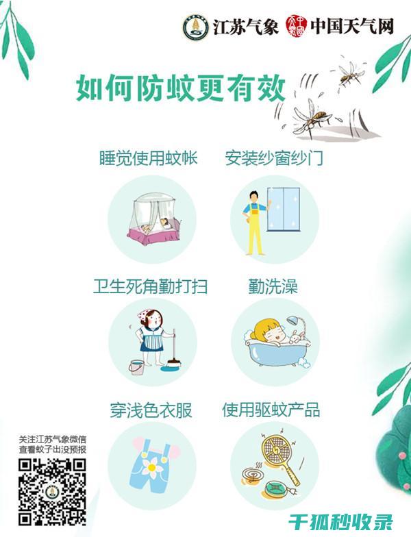 自然界的防蚊小能手：了解并种植这些驱蚊植物 (自然界的防蚊虫植物)