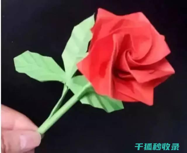 DIY有机花肥：轻松打造美丽花园的技巧 (有机花的做法)