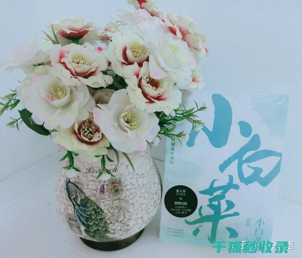 厨房小白也能轻松掌握！快速切出洋葱丁的秘诀 (厨房小白也能快速变大厨)