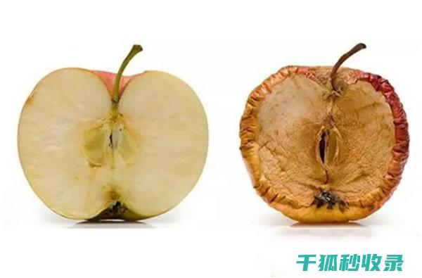 防止苹果氧化：家庭保存水果的好方法 (怎么防止苹果氧化)