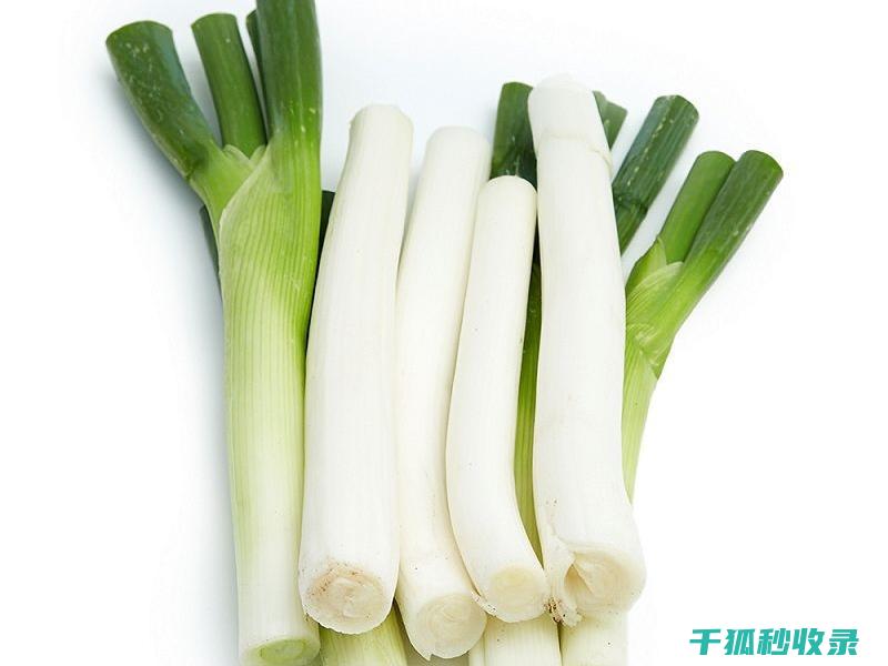 大葱保存方法：教你如何保存大葱更久 (大葱保存方法 夏天)