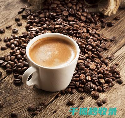 咖啡豆的保存艺术：掌握这几点，咖啡更美味 (咖啡豆的保存方法)