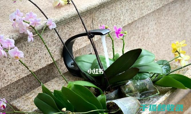 如何正确地给木地板打蜡？专业步骤全揭秘 (如何正确地给手机充电)