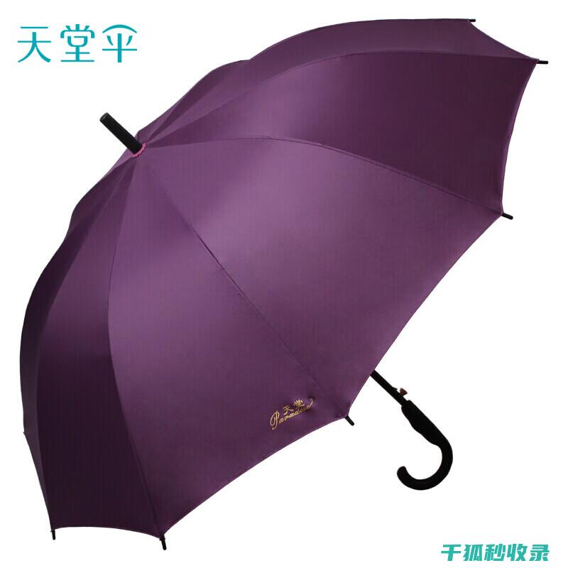 雨伞生锈？试试这个神奇的除锈方法 (雨伞生锈了还能用吗)