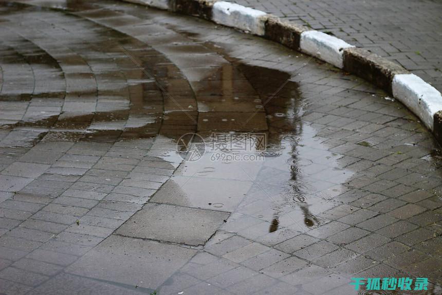 雨水挡不住的贴心伴侣：解读雨伞防水功能 (雨水挡不住热情的话术)
