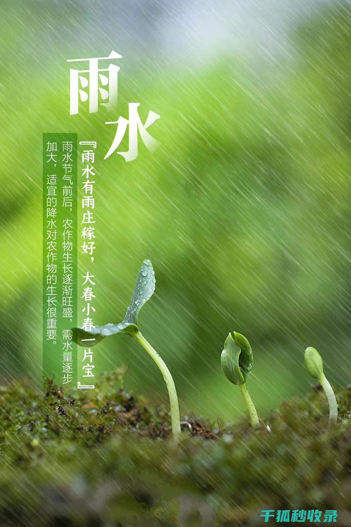 雨水中的可靠伴侣：雨伞防水性能大揭秘 (雨水中的可靠性是指)