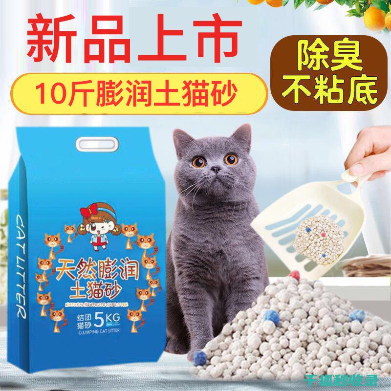 猫砂除臭新潮流：DIY与手工制作的独特魅力 (猫砂除臭新潮怎么用)