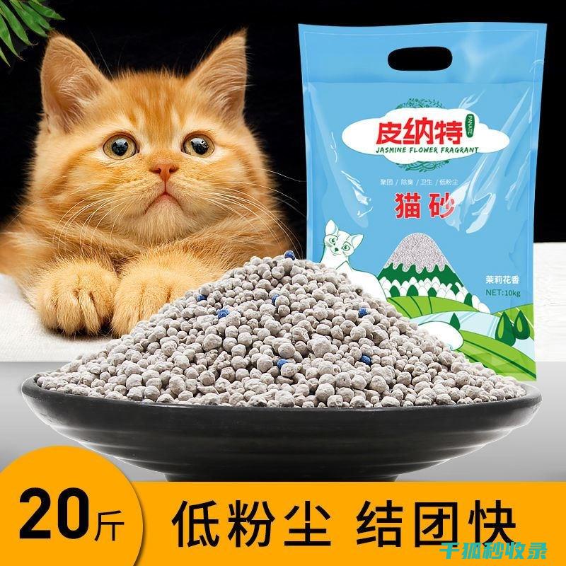 猫砂除臭新方法：如何在有限空间内实现最大效用 (猫砂除臭新方法有哪些)