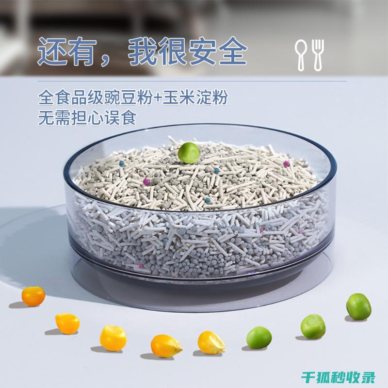 猫砂除臭新挑战：如何应对宠物的特殊需求 (猫砂除臭推荐)