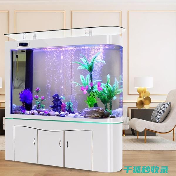 鱼缸清洁工具推荐：环保型清洁工具 (鱼缸清洁工具鱼)