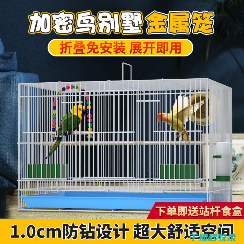 鸟笼清洁全记录：从日常清理到深度清洁 (鸟笼怎么洗)