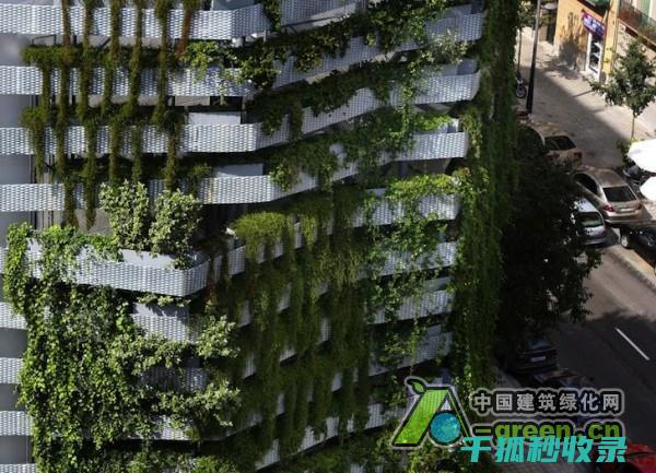 垂直空间利用在建筑设计中的重要性 (垂直空间利用率)