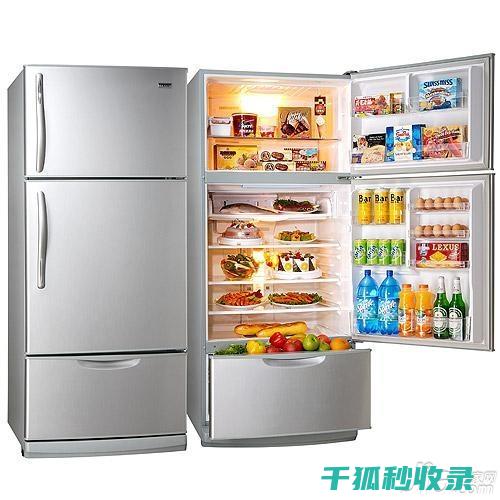 冰箱分区方法：根据季节变化调整分区布局 (冰箱分区方法视频)