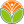 梨树种植