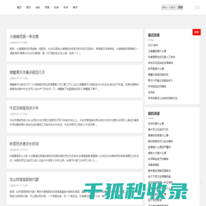 以卵击石网
