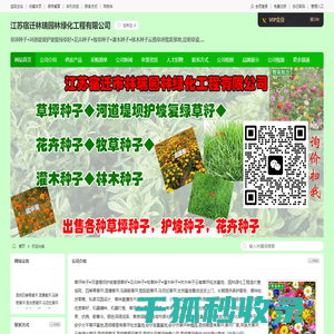 草坪种子◆河道堤坝护坡复绿草籽◆花卉种子◆牧草种子◆灌木种子◆林木种子云南草坪批发基地,昆明草皮,昆明绿化草坪交易平台,安宁太平草坪基地