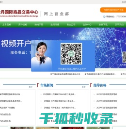 网站截图