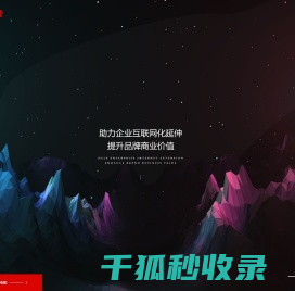 专业建设网站